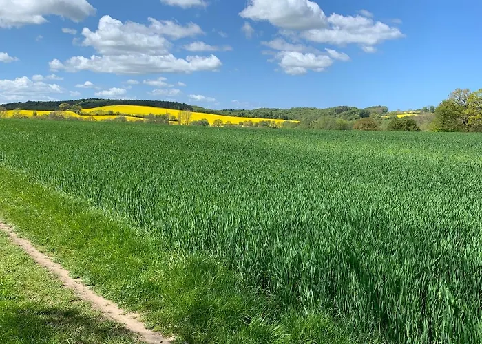 Haus Hamburg 1 * הוווכט